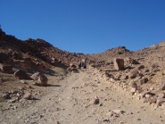26 березня 2009 р. Верблюжа стежка – одна з доріг на гору Синай (Єгипет). Світлина з архіву Оксани Савко